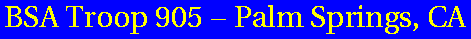 BSA Troop 905 Online