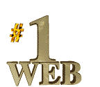 One Support Award 8/98