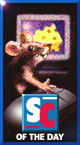 Smart Choice Award 1/97